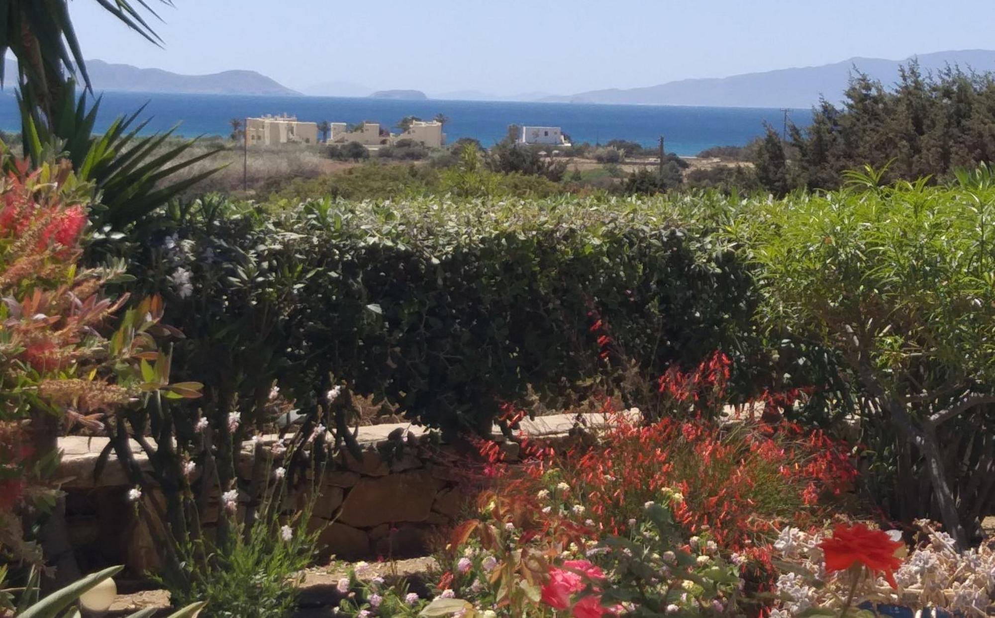 Haus Asterakia Apartment Aliko Beach Exterior photo